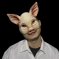 PigPass