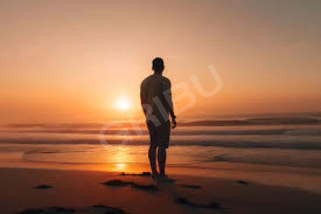 Sludinājumu (8706473) - Zanziboy 1