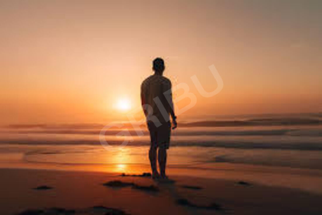 Zanziboy5965977