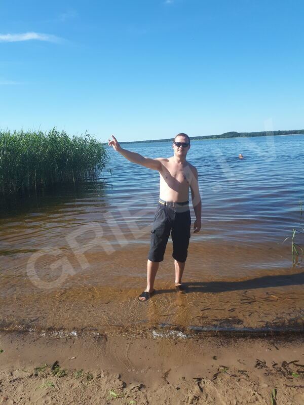 Pavels11768356