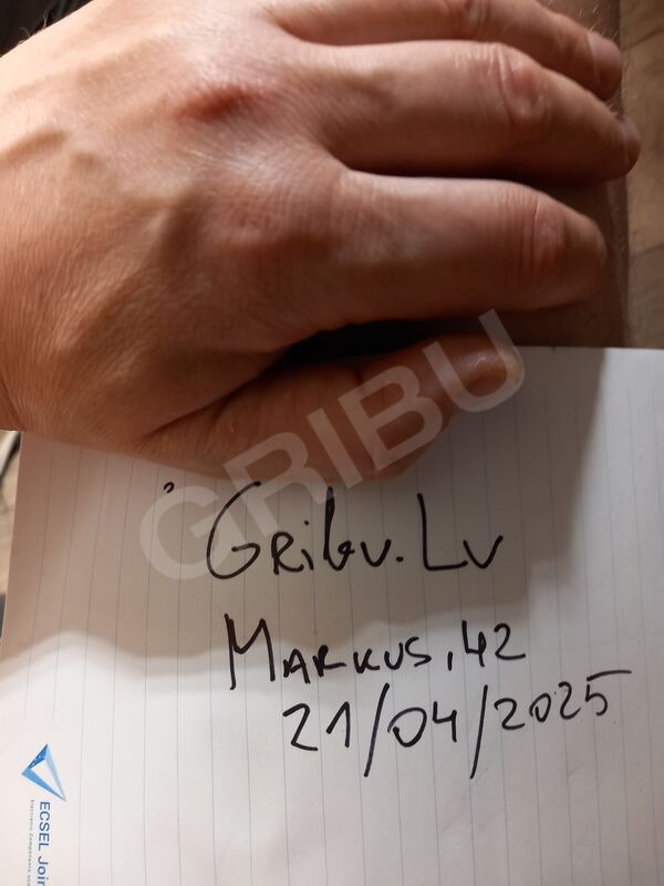 virietisliels5941774