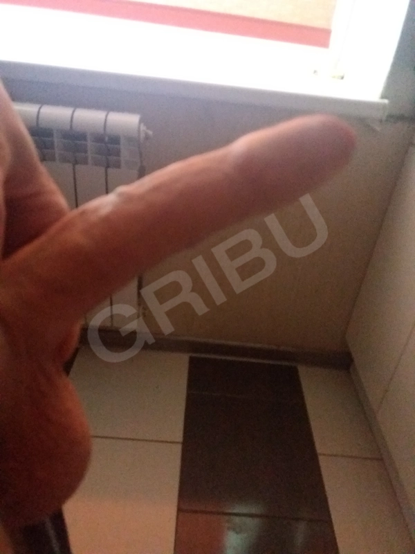 Diablo2224268637