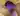 Foxik