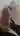 Aleks