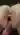BlowjobWhore