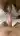 Advertisement (8805955) - RSex 3