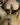 Advertisement (8802689) - RSex 5