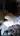 Taucher
