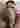 Advertisement (8835157) - CDmeitene 8