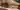 Jautrie09