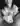KinkyWolf