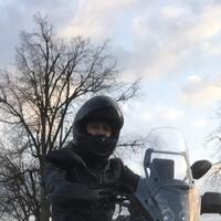 SavageM38