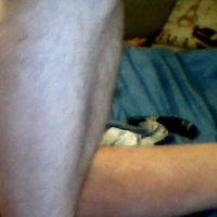 paul2929