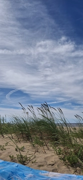 Zanda71