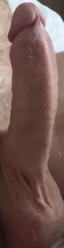 pari19cm